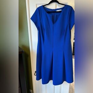 Vibrant blue fit and flare dress.